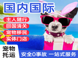 正定机场快运国际宠物托运 【国